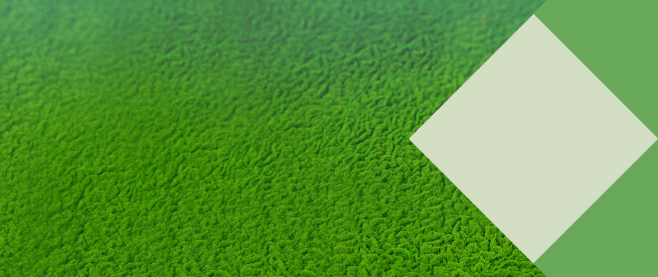 Altret Greenfuels Limited