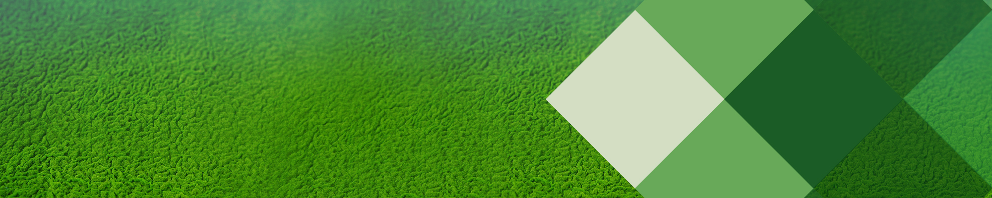 Altret Greenfuels Limited