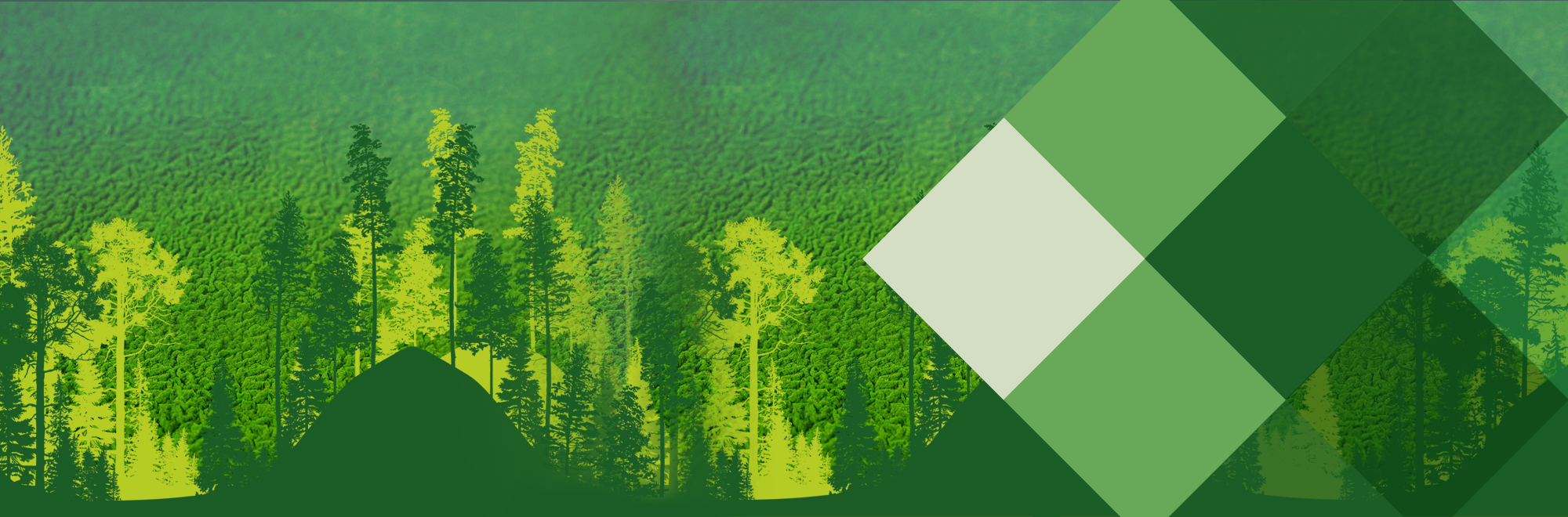 Altret Greenfuels Limited